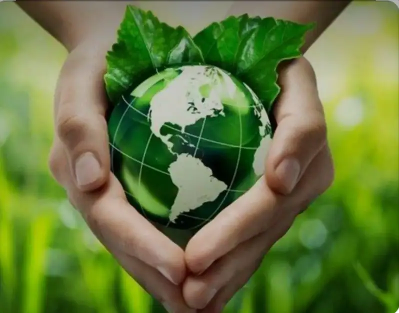 „LAUDATO SI“ … у светлу православног богословља